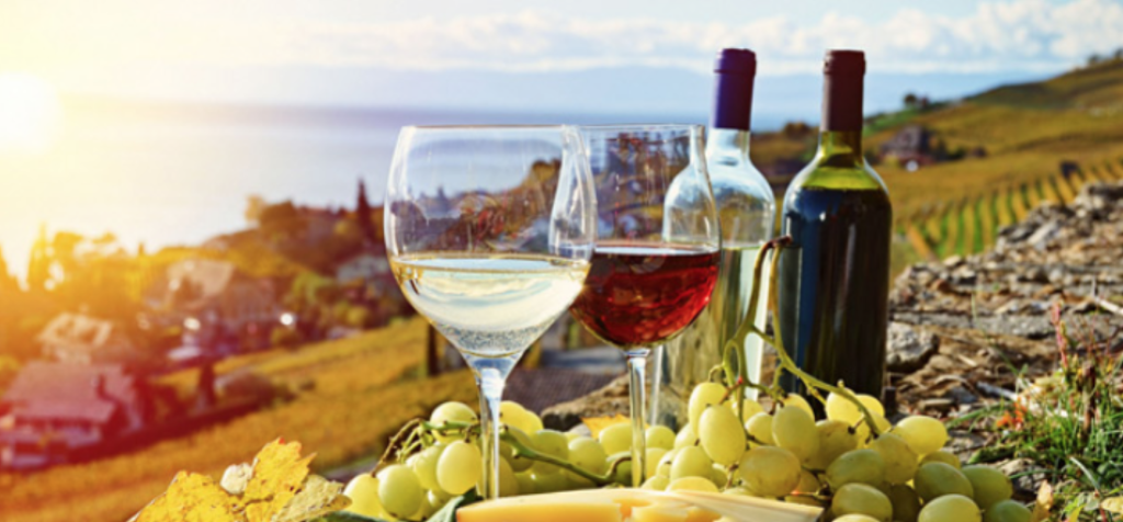Everything you need to know about Portuguese wine label